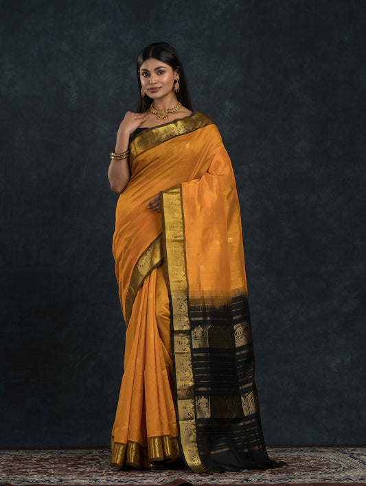 Handloom Korvai Silk Cotton Saree | Mustard Yellow