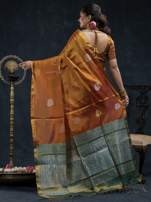 Burnt Orange  Tissue Silk Saree With Golden Border - 027