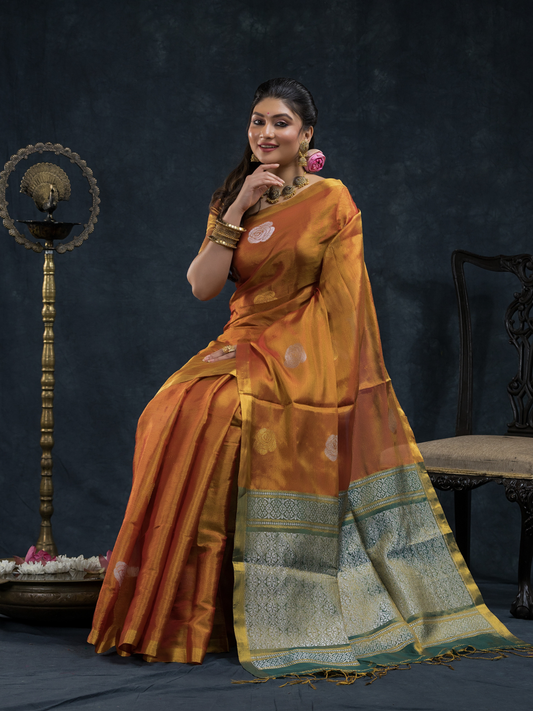 Burnt Orange  Tissue Silk Saree With Golden Border - 027