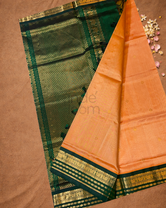 Handloom Korvai Silk Cotton Saree | Copper Orange