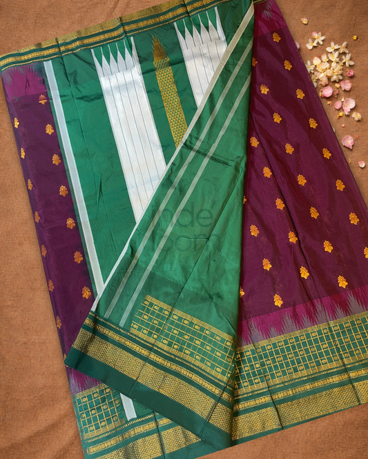 Ilkal Saree in Dark Brown