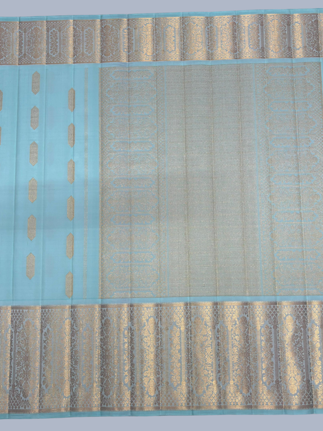 Pure Handwoven Kanchi Silk Saree In Sky Blue-039