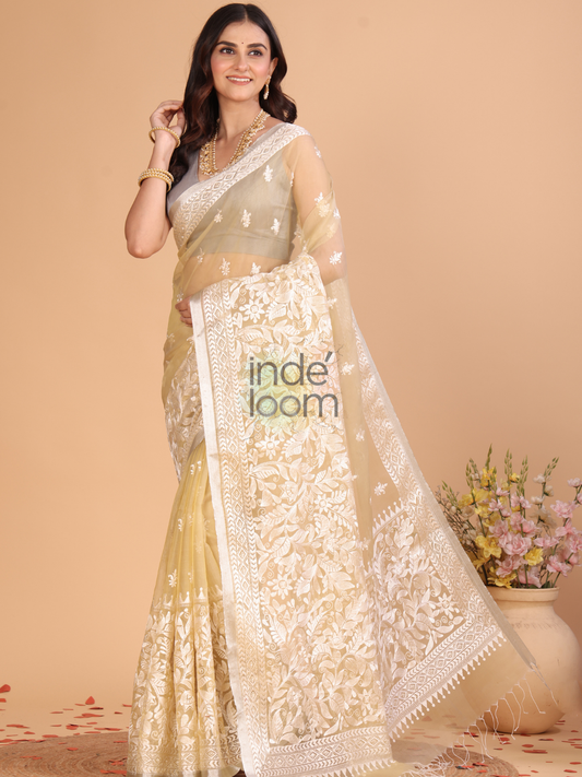 Organza Embroidery Saree With Light Green - 113