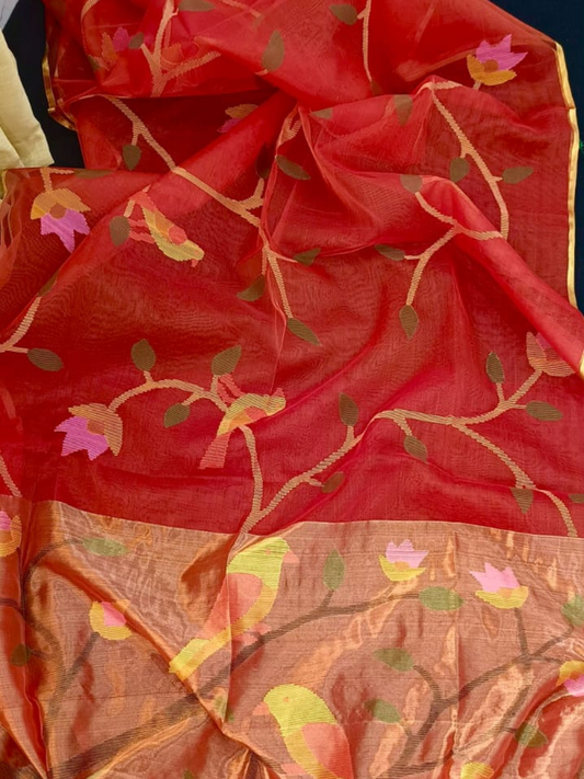 Chilli Red Hand Woven Muslin Paithani Jamdani Saree -121