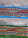 Sky Blue Handloom Vidarbha Tussar Silk Saree with Multicolor Contrast Border -066
