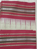 Blood Red Handloom Vidarbha Tussar Silk Saree with Multicolor Contrast Border -074