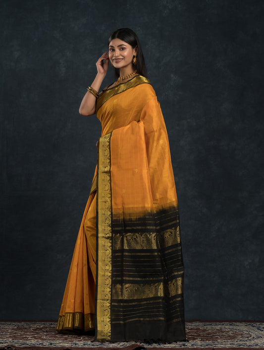 Pure Handloom Korvai Saree | Golden Yellow and Black