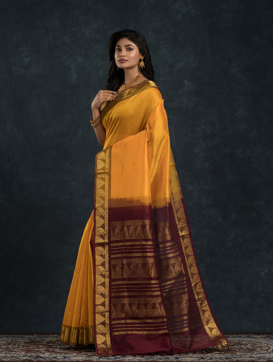 Pure Handloom Korvai Saree | Golden Yellow and Brown