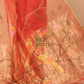 Muslin Tissue Jamdani Saree With Imperial Red - 127