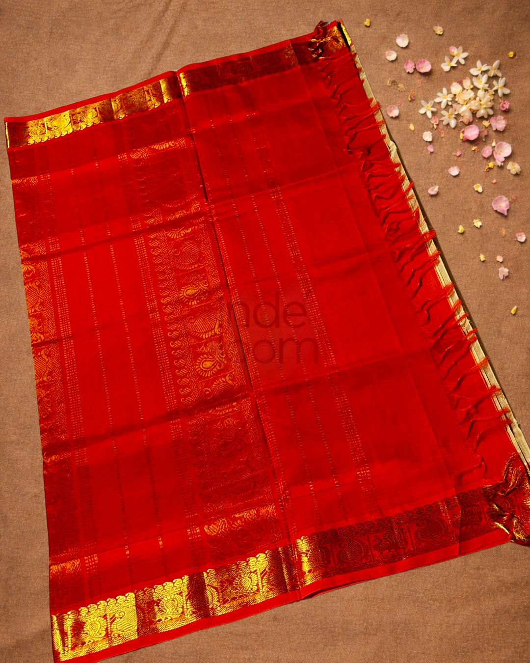 Handloom Korvai Silk Cotton Saree  |  Cream Beige