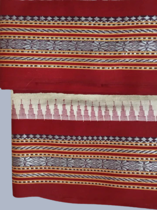 Blood Red Vidarbha Tussar Silk Saree with Multicolor Contrast Border -119