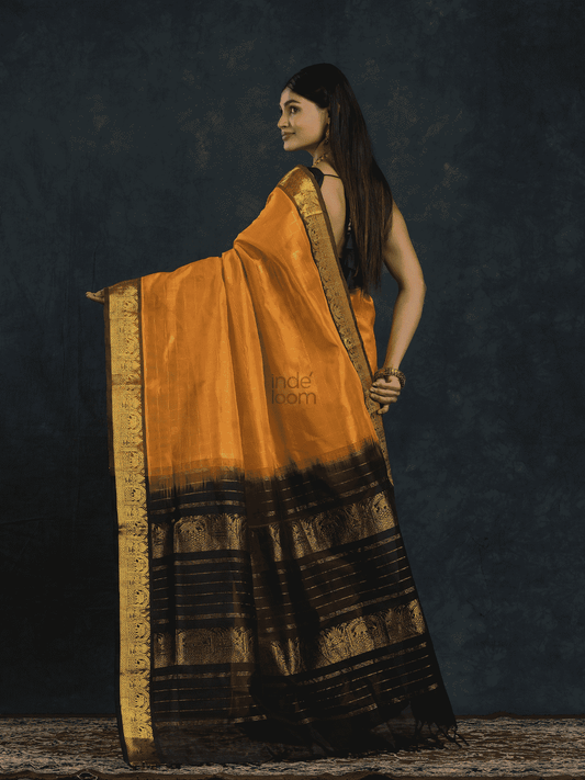 Pure Handloom Korvai Saree in Golden Yellow & Black Border In Zari Checks- 139