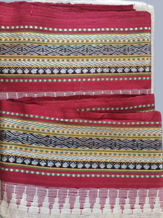 Apple Red Handloom Vidarbha Tussar Silk Saree with Multicolor Contrast Border -091