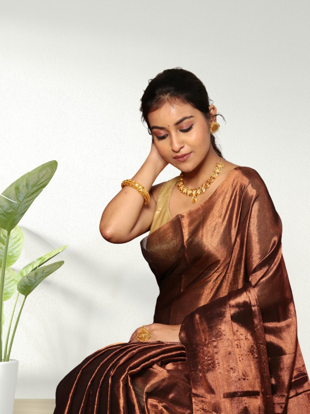 Tissue Silk Saree With Golden Wood Brown  - 010