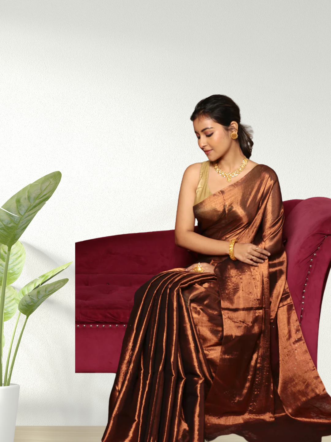 Tissue Silk Saree With Golden Wood Brown  - 010