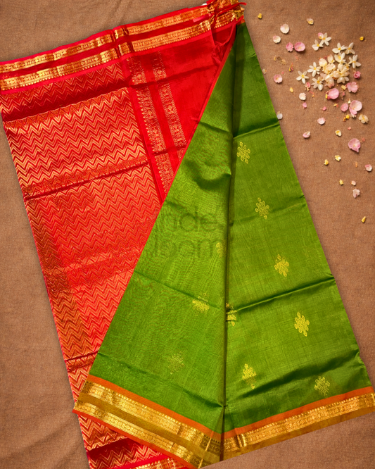 Handloom Korvai Silk Cotton Saree  |  Lime Green