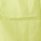 Classic Benarasi Katan Semi Silk Saree | Pale Green