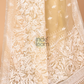 Organza Embroidery Saree With Light Green - 113