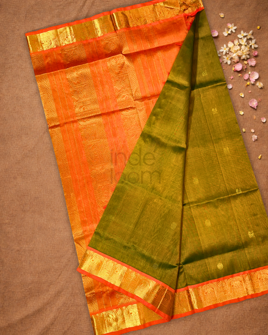 Handloom Korvai Silk Cotton Saree  |  Moss Green