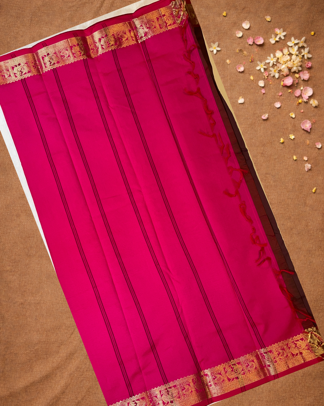 Handloom Korvai Silk Cotton Saree  |  Espresso Brown