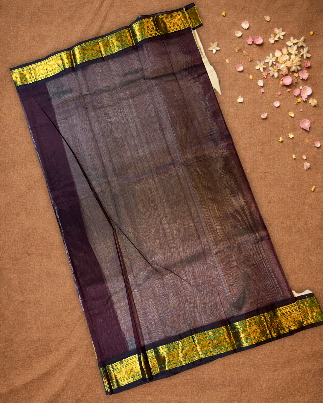 Handloom Korvai Silk Cotton Saree  |  Warm Ivory