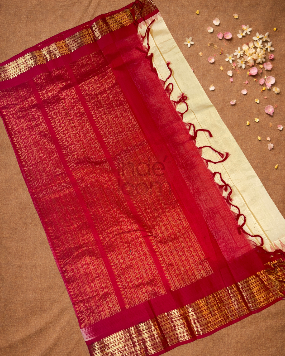Handloom Handloom Silk Cotton Saree  |  Warm Ivory