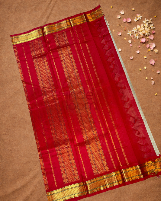 Handloom Korvai Silk Cotton Saree  |  Sage Green