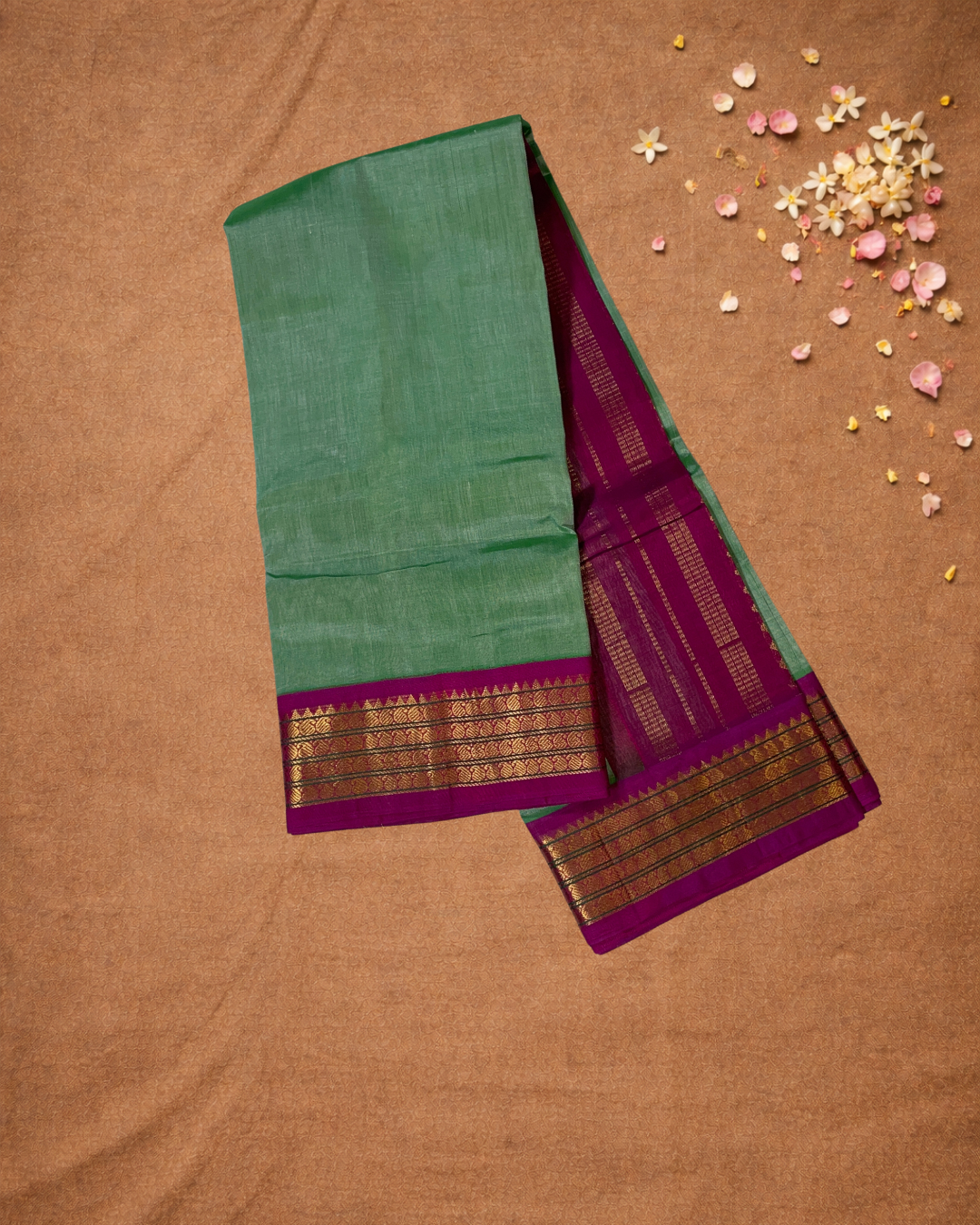 Handloom Korvai Silk Cotton Saree  |  Peacock Teal