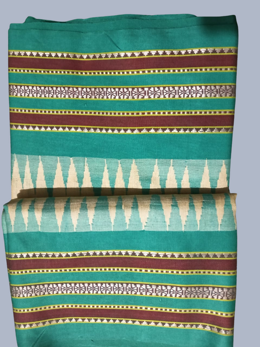 Baby Blue Handloom Vidarbha Tussar Silk Saree with Multicolor Contrast Border -006