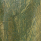 Pure Handloom Silk Tissue Linen Saree | Olive Green
