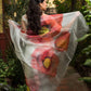 The Poppy Burst Organza Hand-painted Sari-065