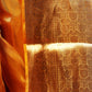 Macaroon Yellow Tissue Silk Saree-001 - indeloom