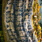 Blue Black Sri Rama Kalyanam Kalamkari Saree - 024
