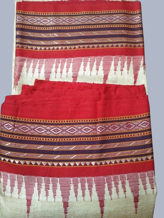 Ruby Red Handloom Vidarbha Tussar Silk Saree with Multicolor Contrast Border -018
