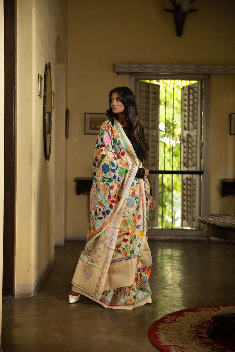 22 Colors Nakshi Kantha Sari