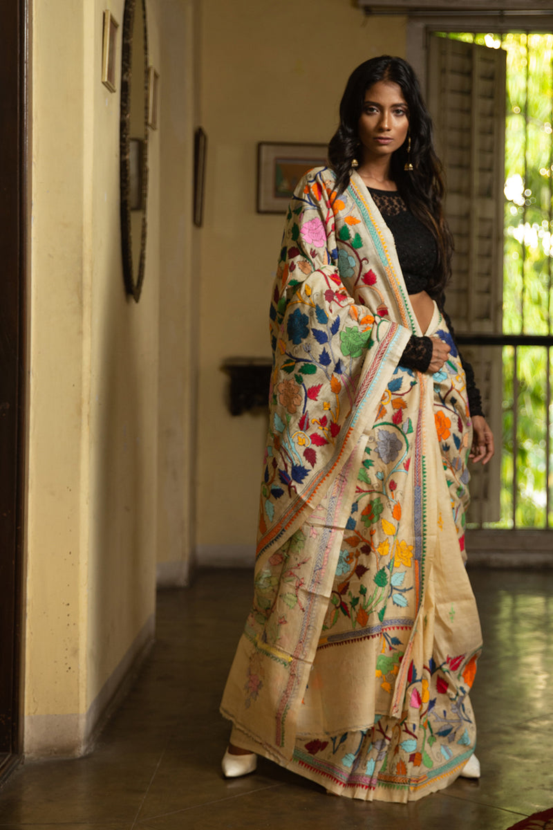 22 Colors Nakshi Kantha Sari