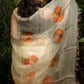 The Sketched Floral Poppy Organza Hand-painted Saree-063